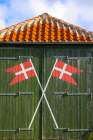 Skagen, Denmark. Green barn with Denmark flag. Art Print